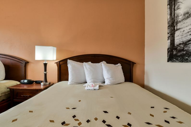 Double-Bed Room